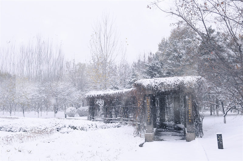 25李文秀 雪落聽春歸.jpg