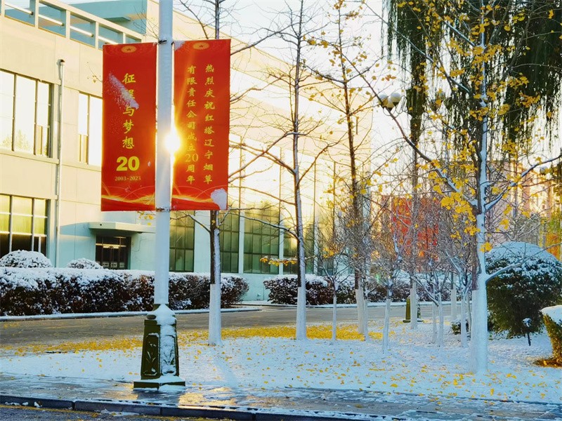 29劉雨佳——早安，初雪營煙.jpg