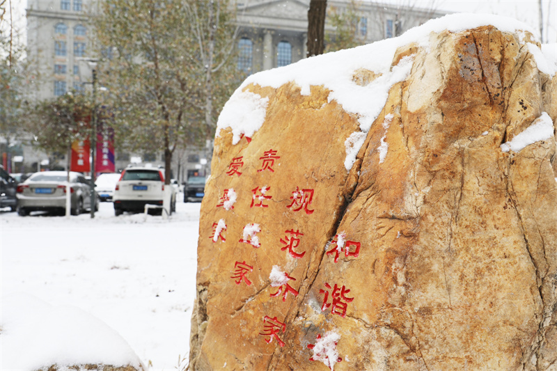 48王海軍 堅(jiān)如磐石.jpg